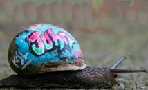 Los graffitis ¿arte o amenaza?